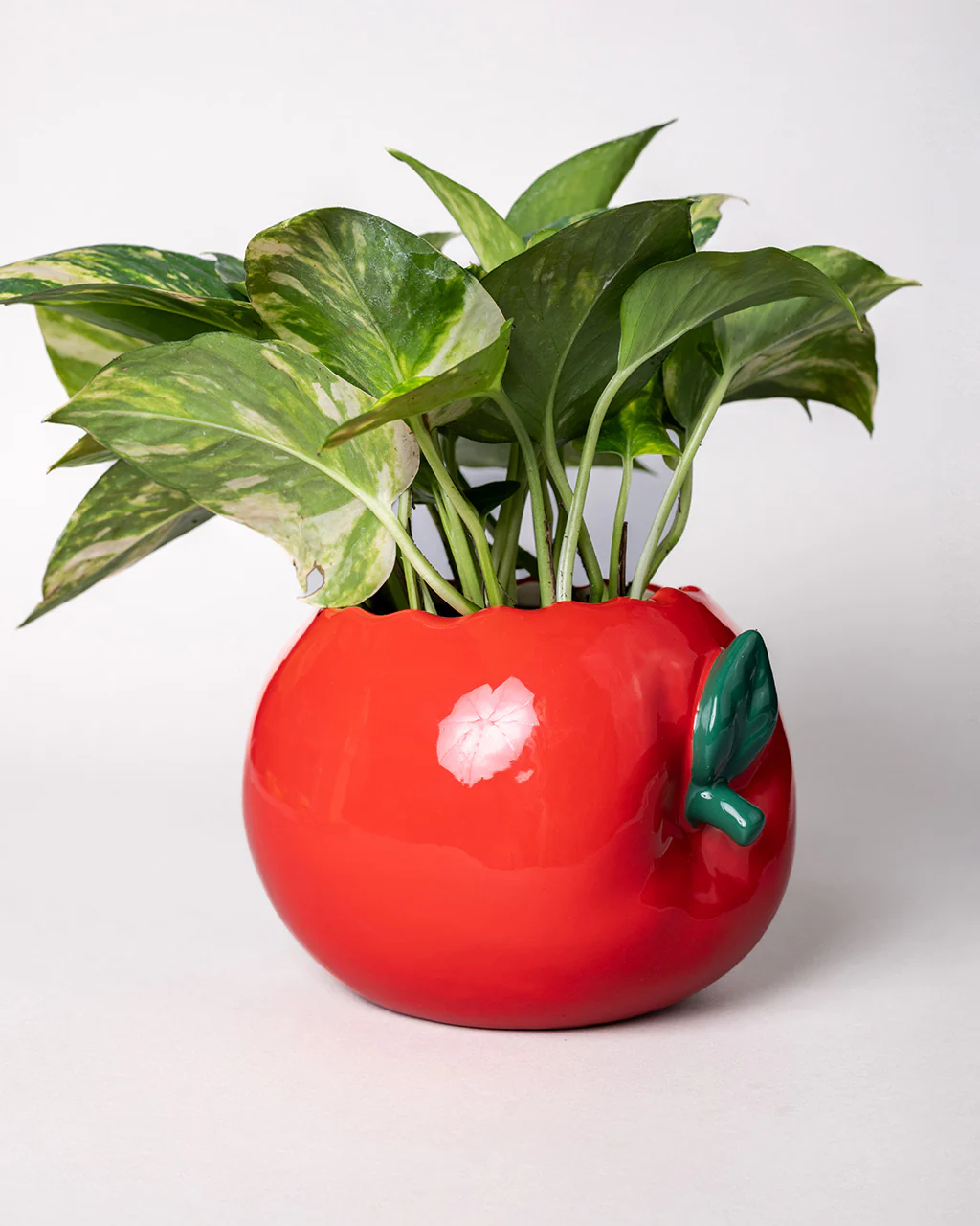 Apple Planter - Image 7