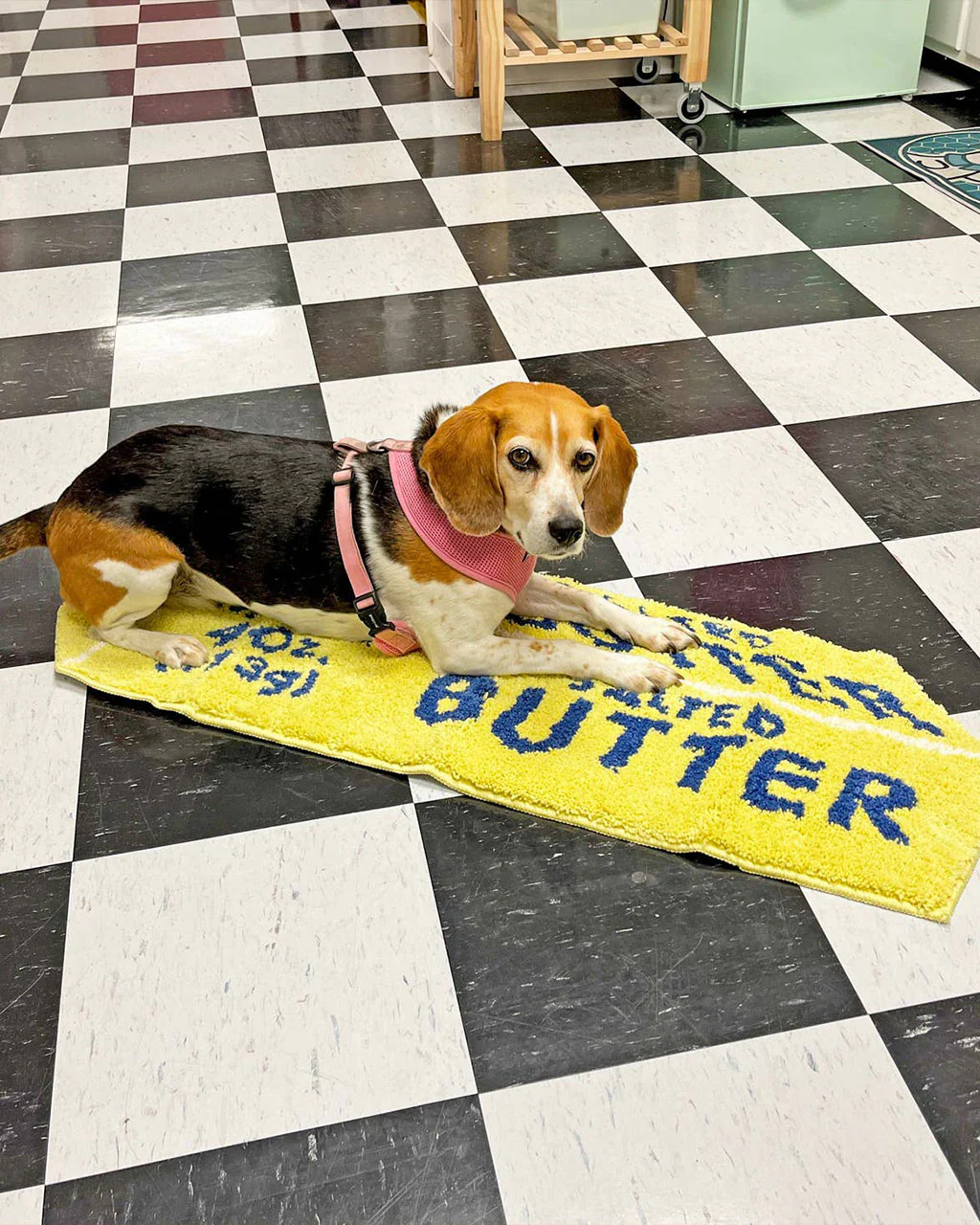 Butter Rug - Image 2
