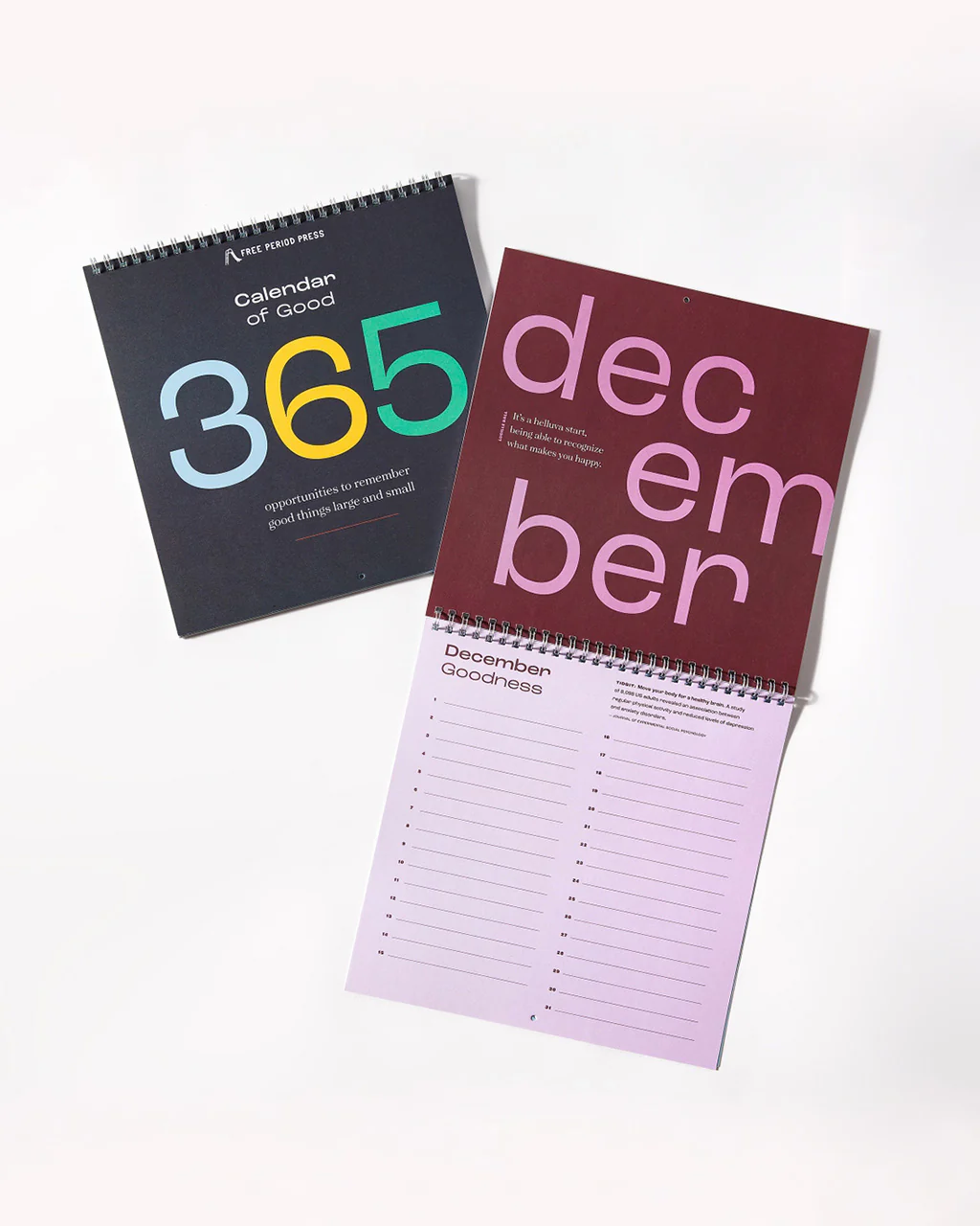 Calendar of Good: A Gratitude Calendar - Image 2