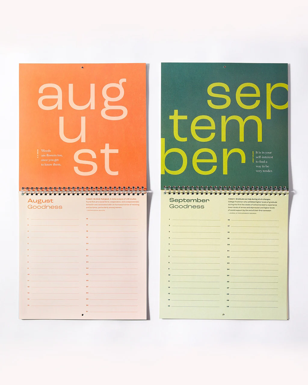 Calendar of Good: A Gratitude Calendar - Image 3
