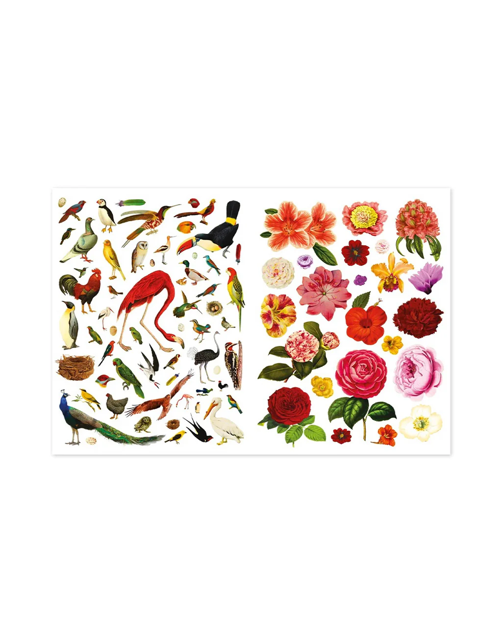 Even More Extraordinary Things to Cut Out and Collage Book - Image 5