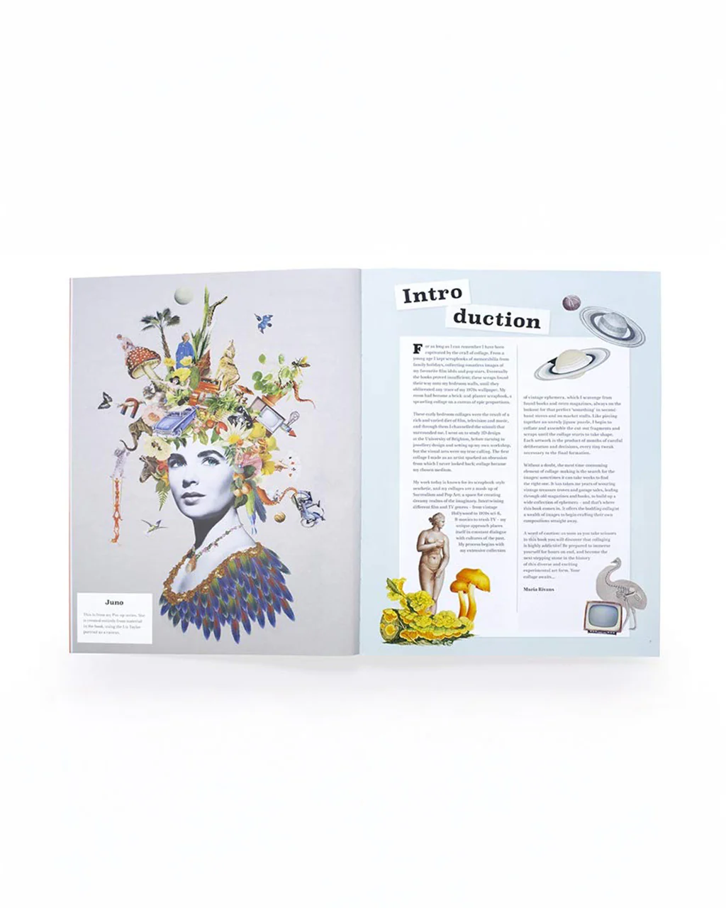 Extraordinary Things to Cut Out and Collage Book - Image 2