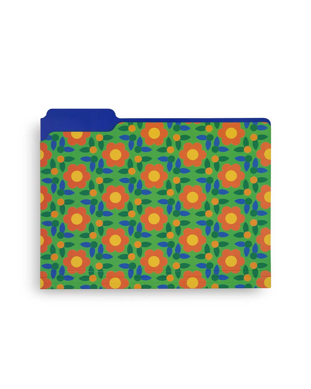 File Folder Set - Life's A Picnic - Image 6