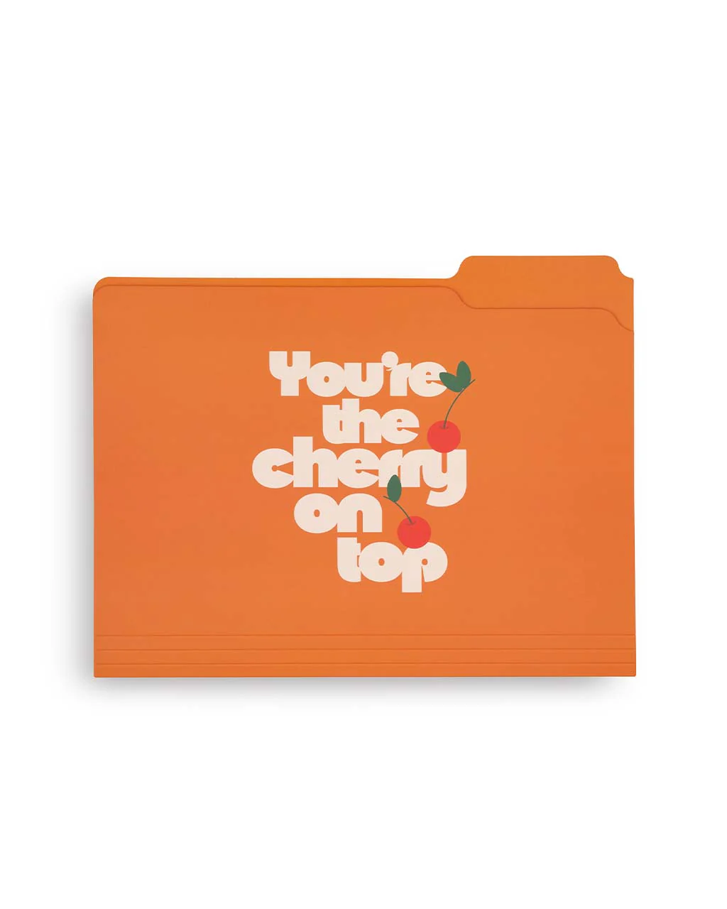 File Folder Set - Life's A Picnic - Image 7
