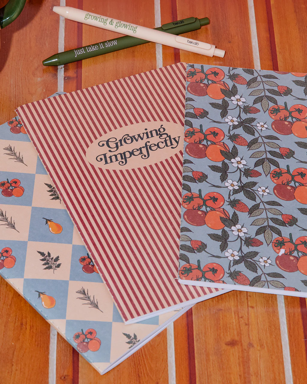Hold That Thought Notebook Set - Growing Imperfectly - Image 2