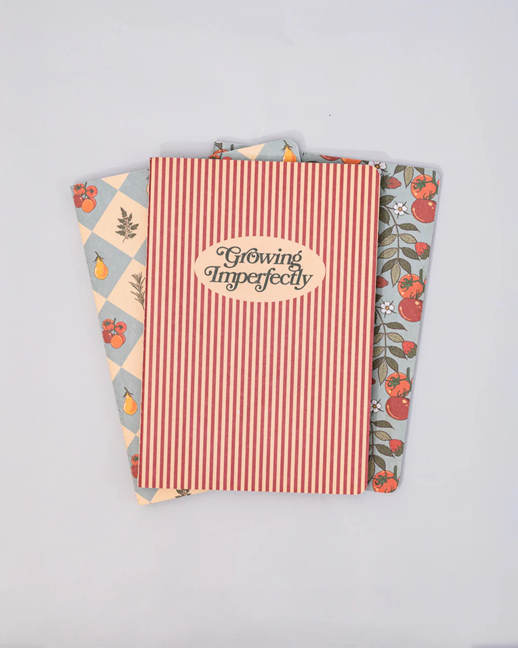 Hold That Thought Notebook Set - Growing Imperfectly - Image 3