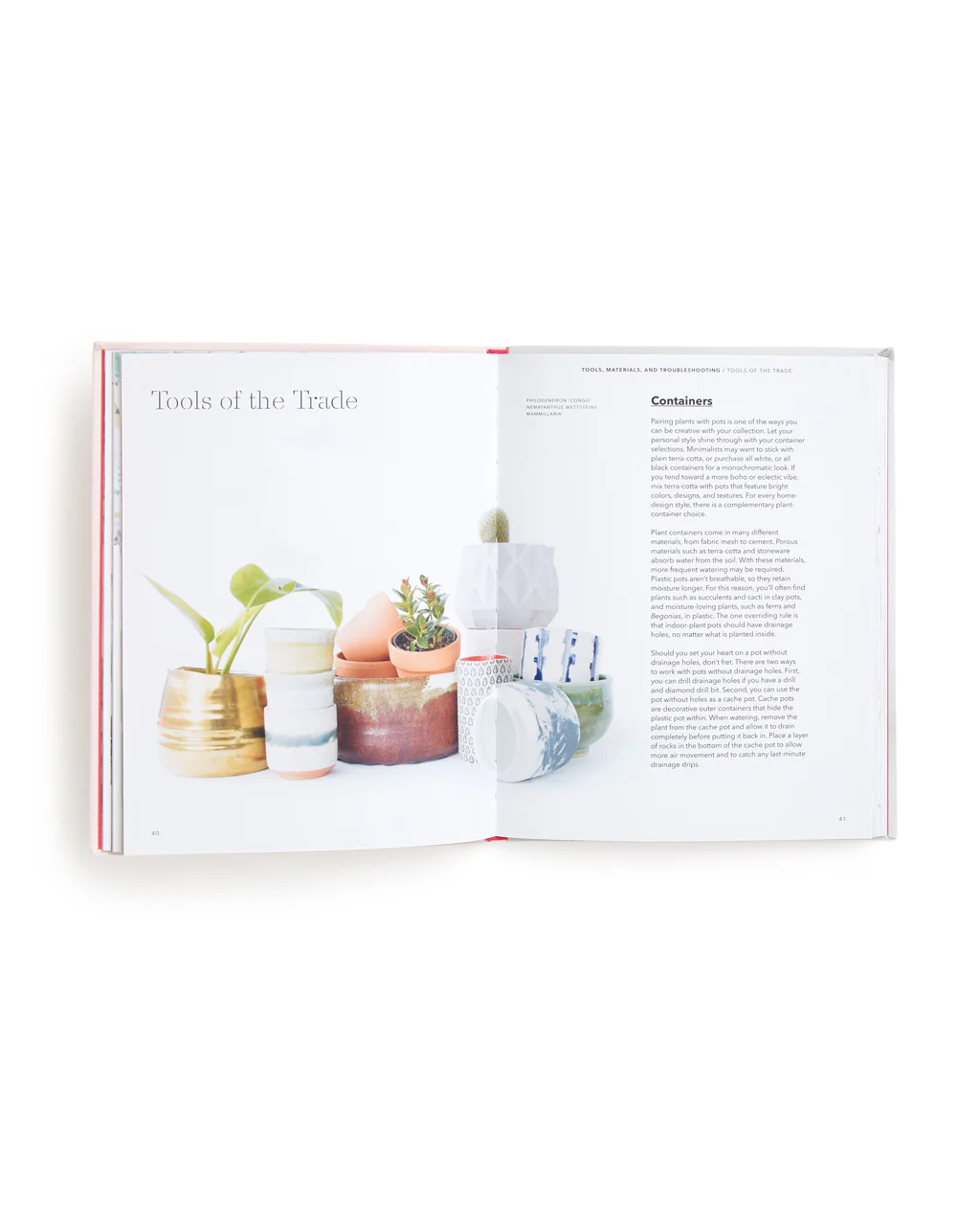 How to Raise a Plant and Make It Love You Back - Image 2