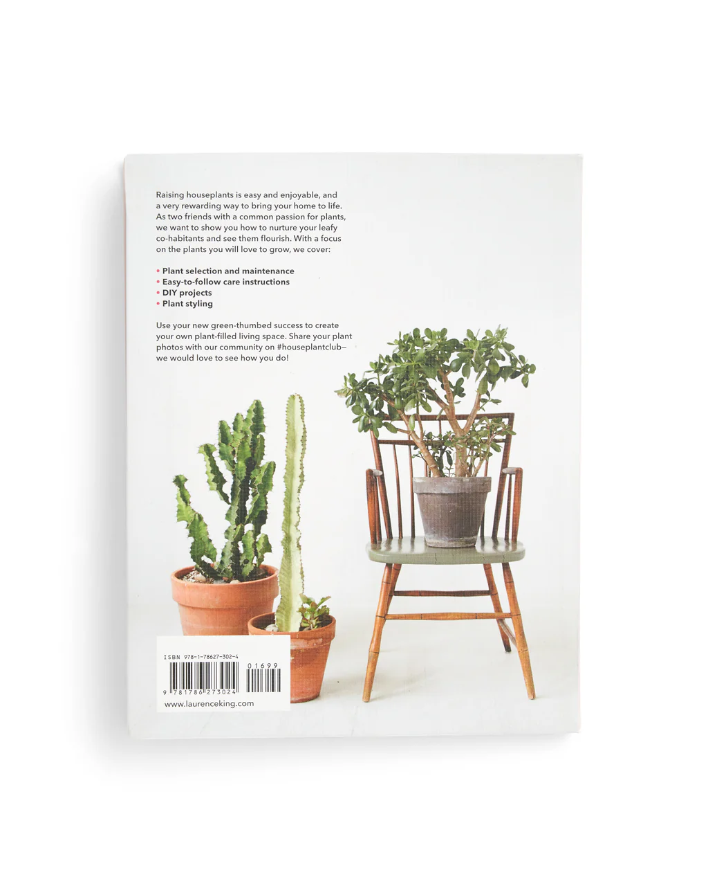 How to Raise a Plant and Make It Love You Back - Image 5
