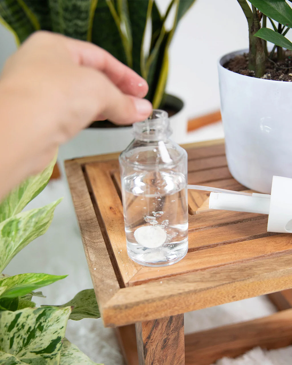 Instant Plant Protection - Natural Houseplant Pest Control Tablets - Image 2