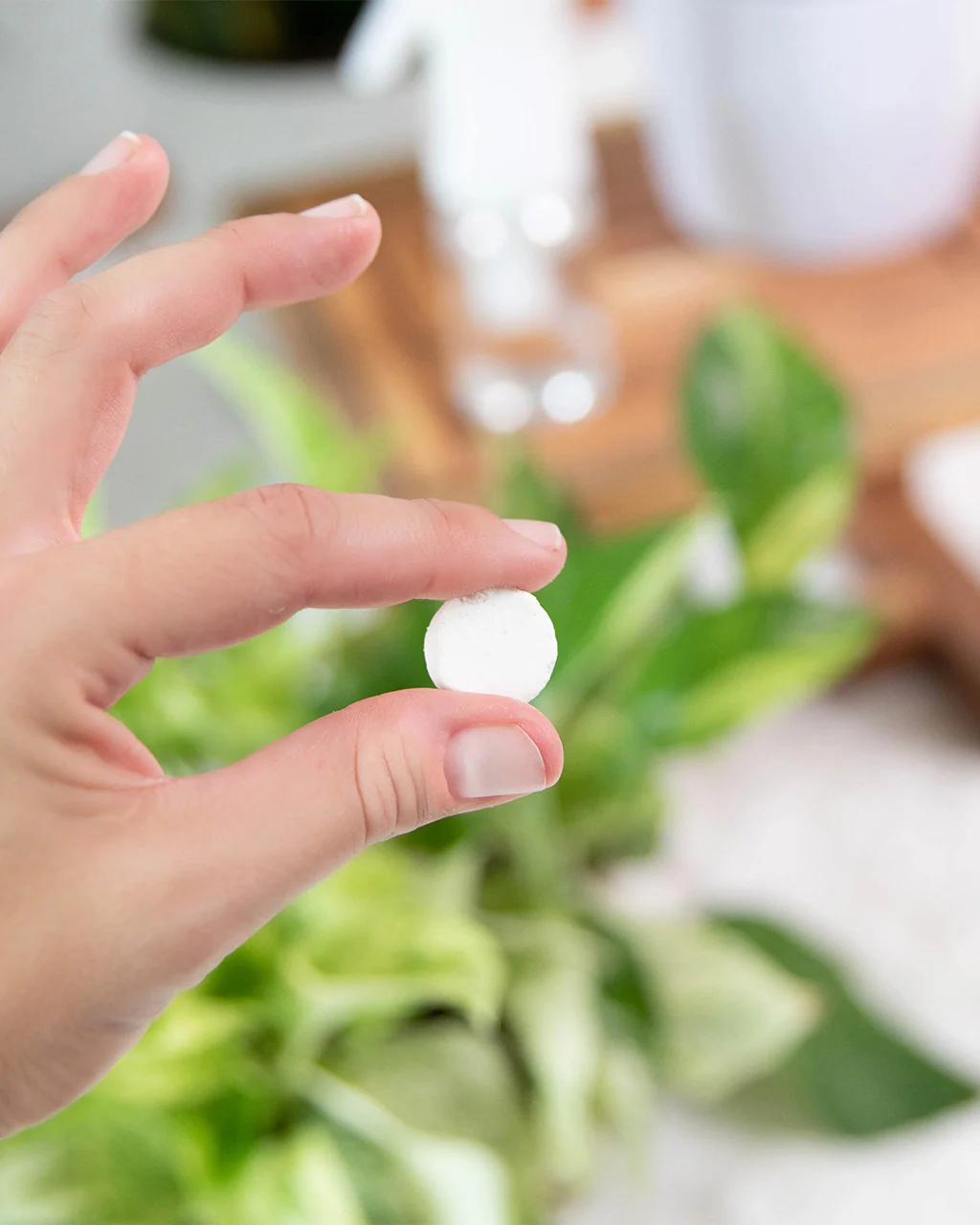 Instant Plant Protection - Natural Houseplant Pest Control Tablets - Image 3