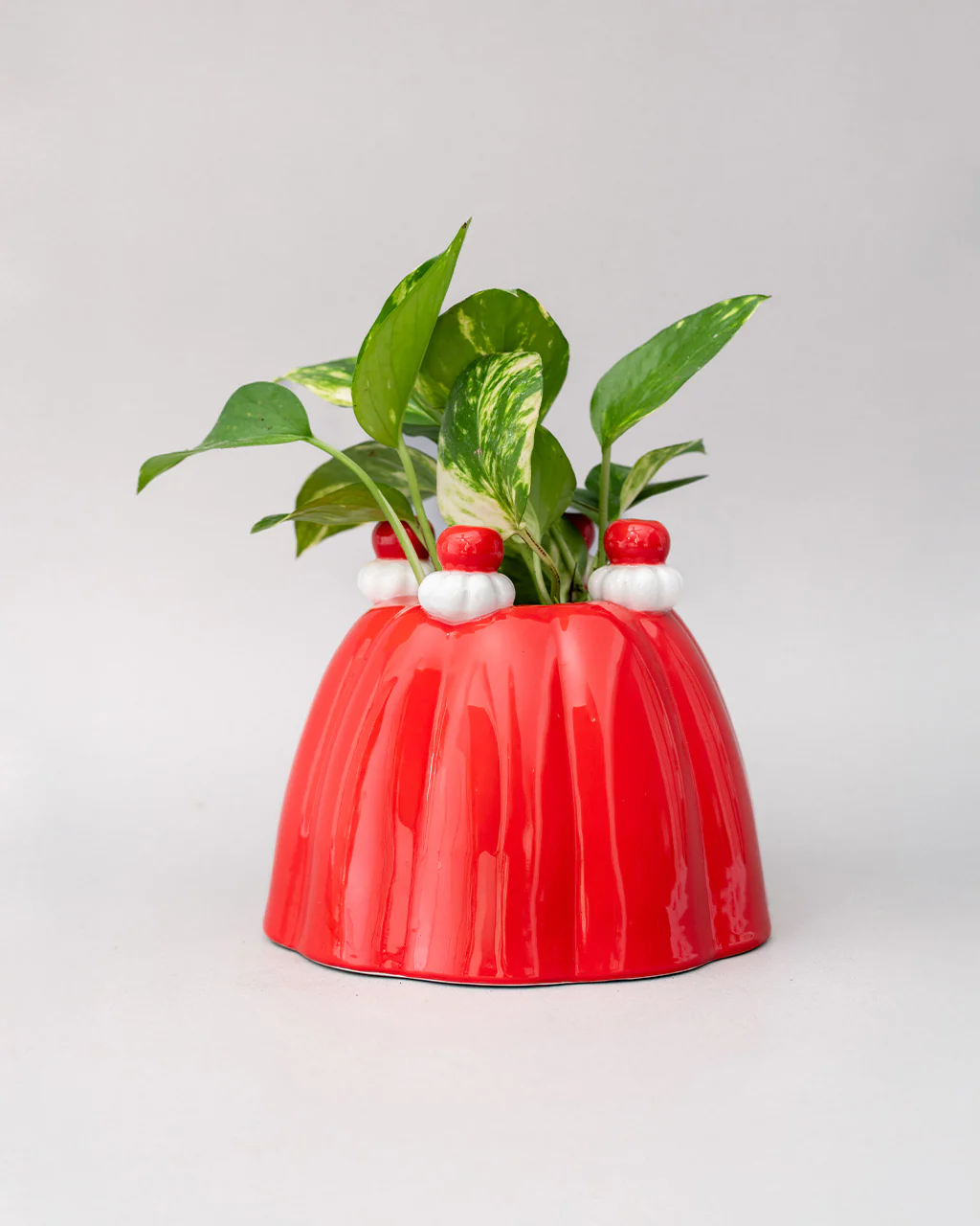 Jelly Dessert Vase - Image 5