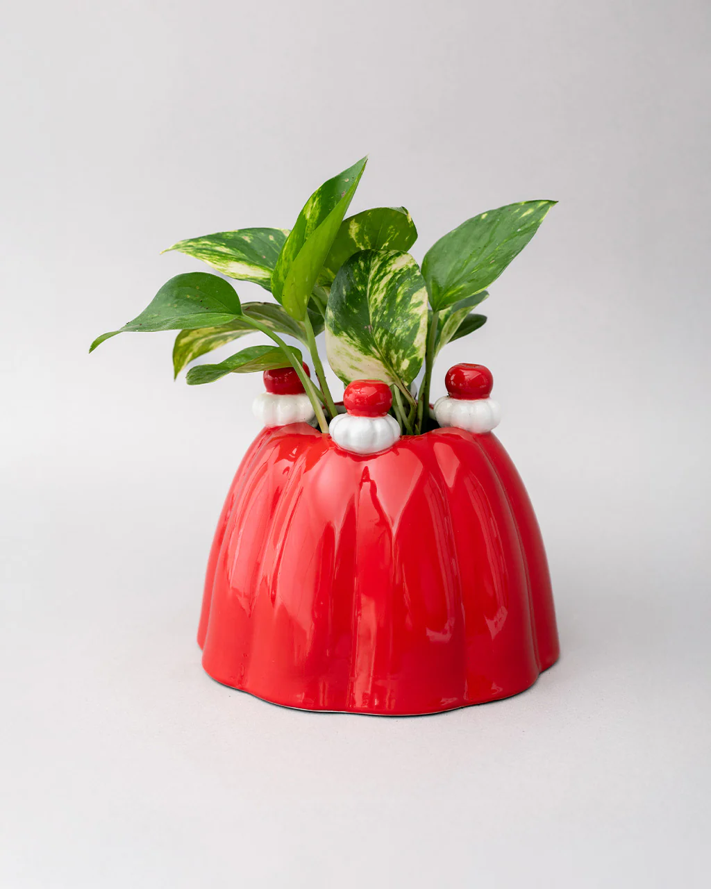 Jelly Dessert Vase - Image 7
