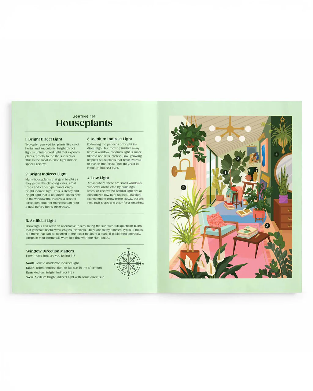 Lighting 101: Houseplants - 500 Piece Book Puzzle - Image 3