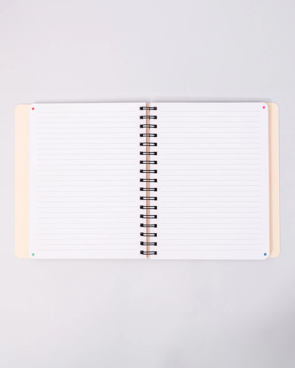Manifestation Journal - Image 4