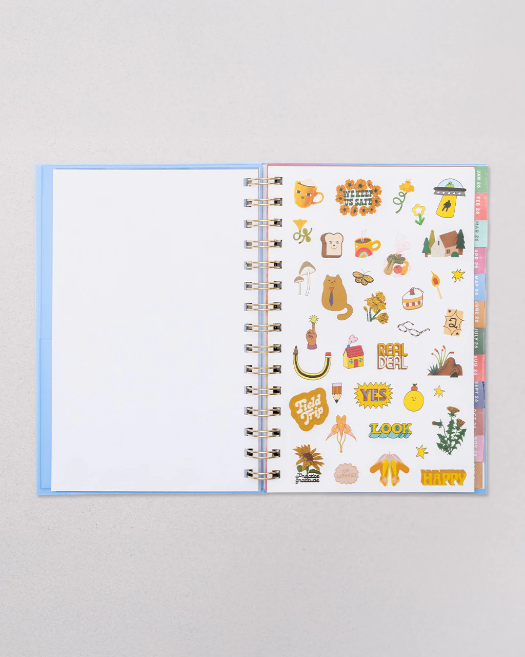 Medium 12-Month Soft Cover Annual Planner - Let's Have Some Fun - Image 4