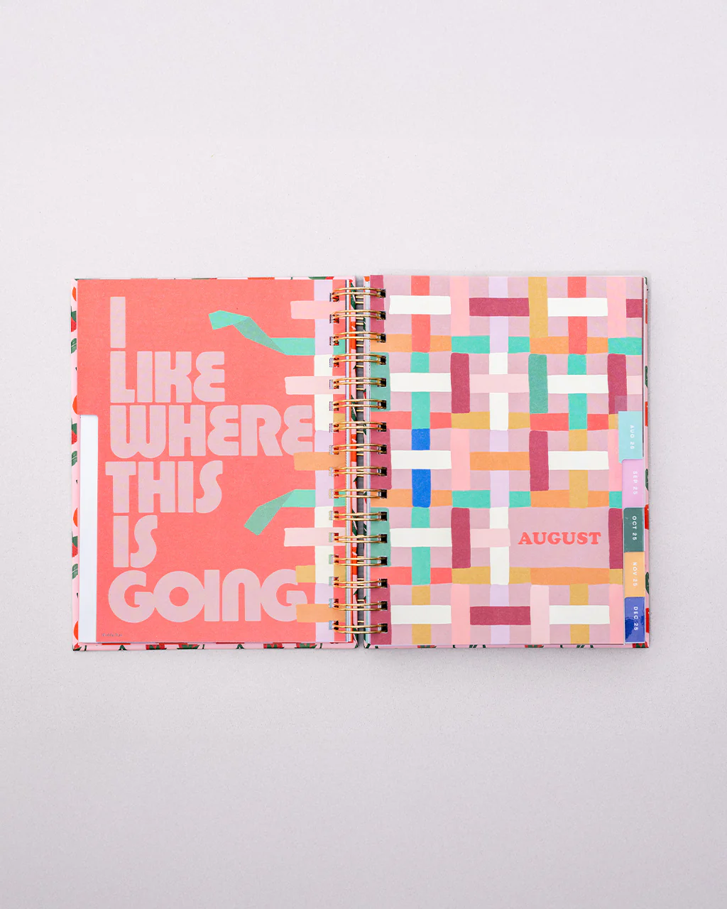 Medium 17-Month Academic Planner - Infinite Potential - Image 11