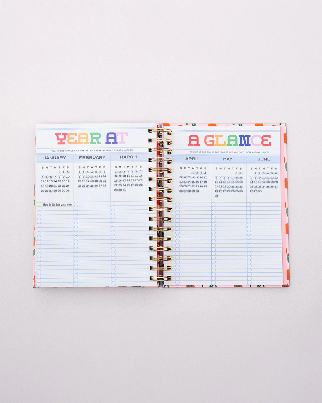 Medium 17-Month Academic Planner - Infinite Potential - Image 7