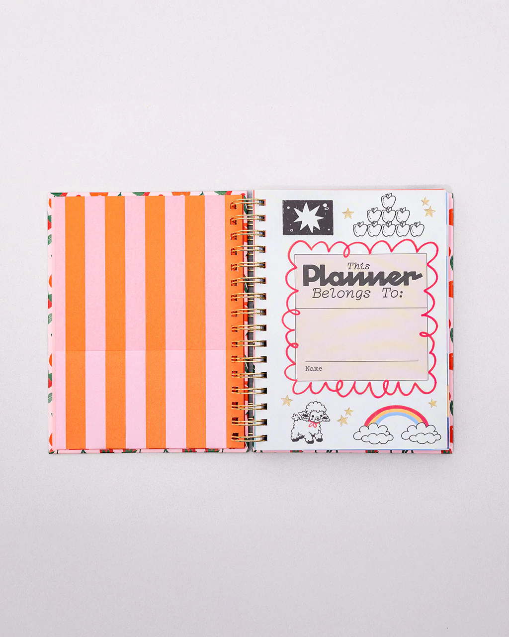 Medium 17-Month Academic Planner - Mid Century - Image 2