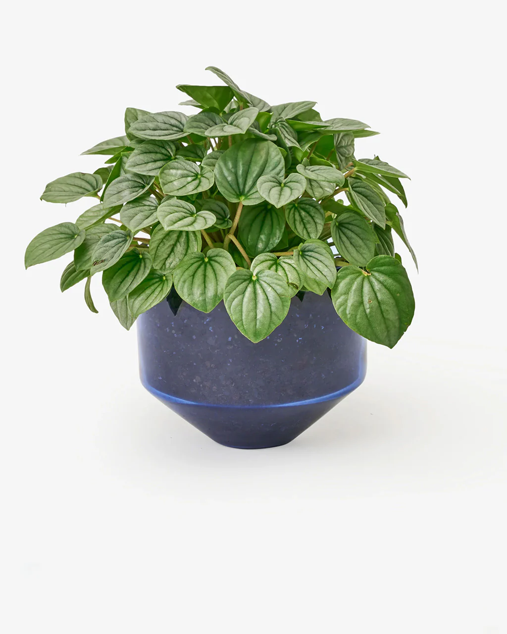Model Three Planter - Blue - Image 3