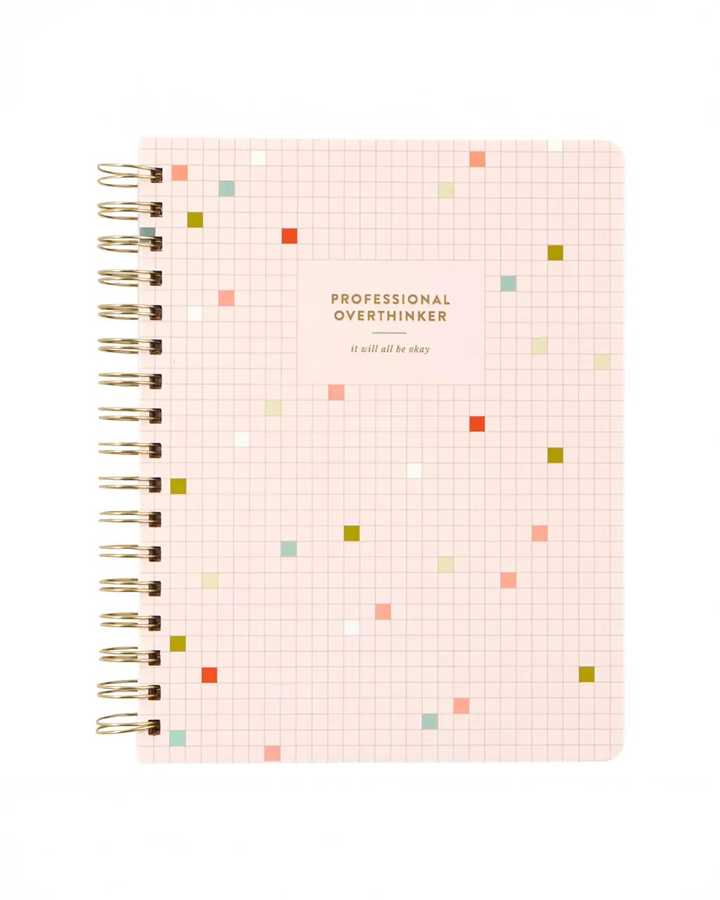Professional Overthinker Spiral Notebook