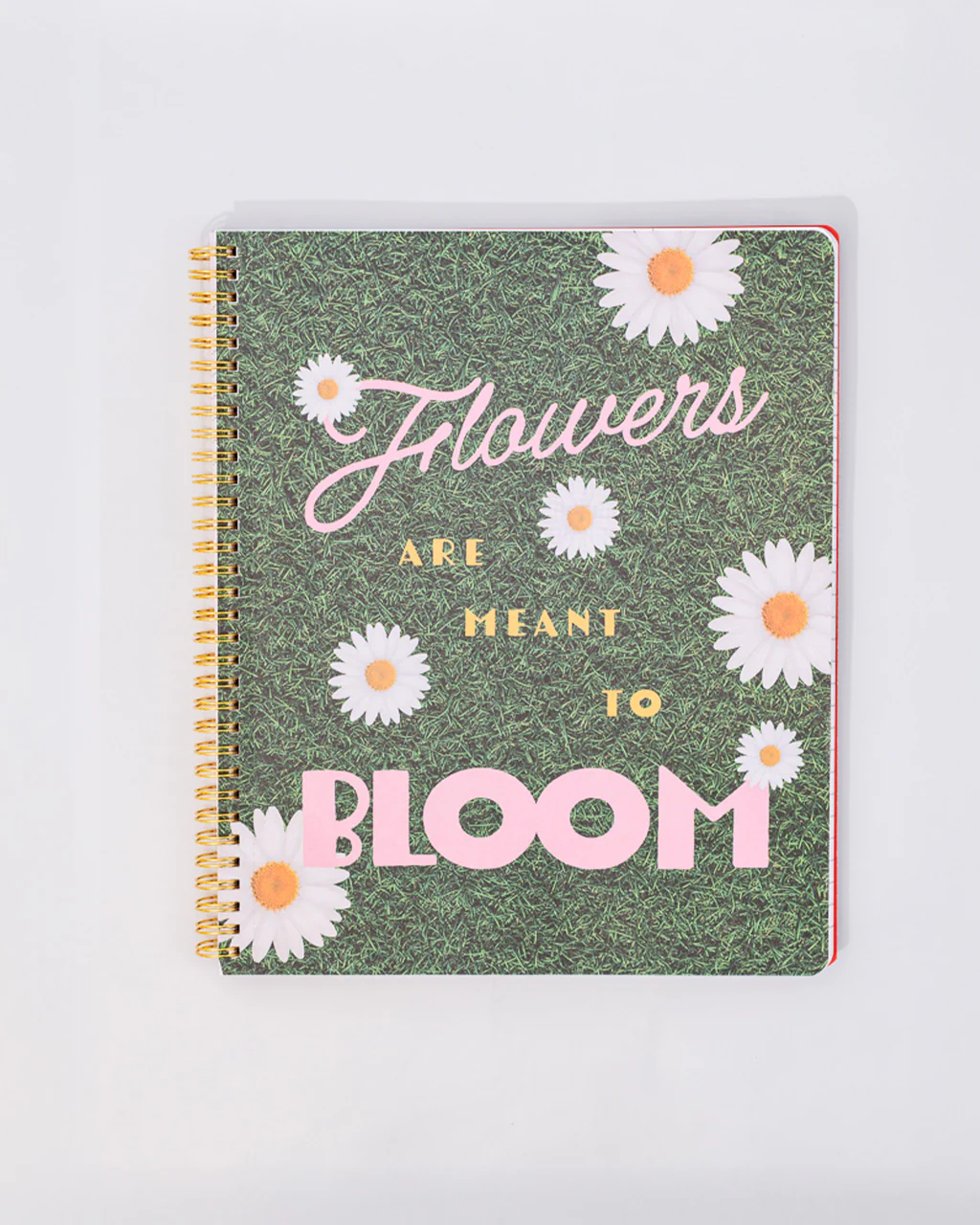 Rough Draft Large Notebook - Floral Stripe - Image 3