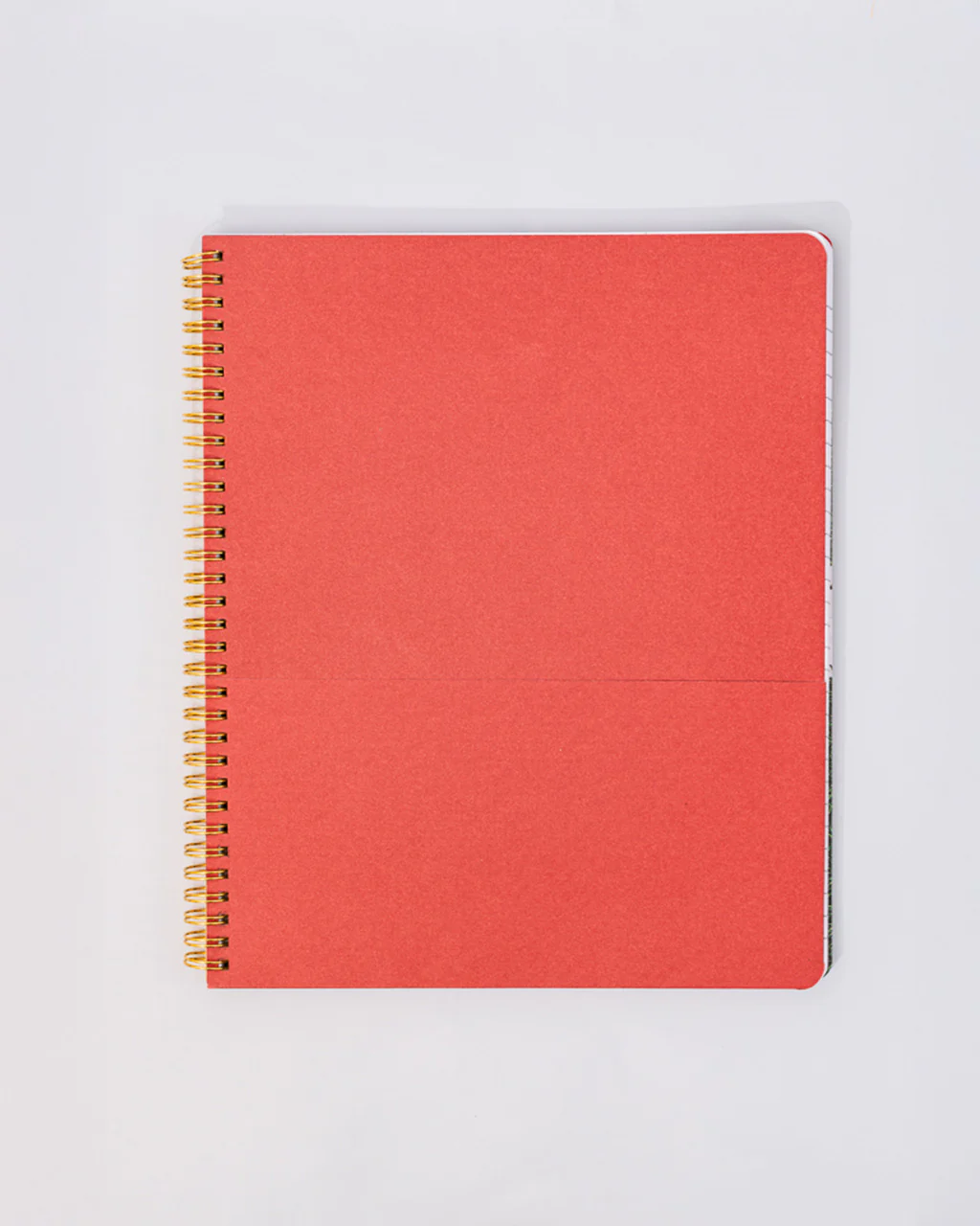 Rough Draft Large Notebook - Floral Stripe - Image 4