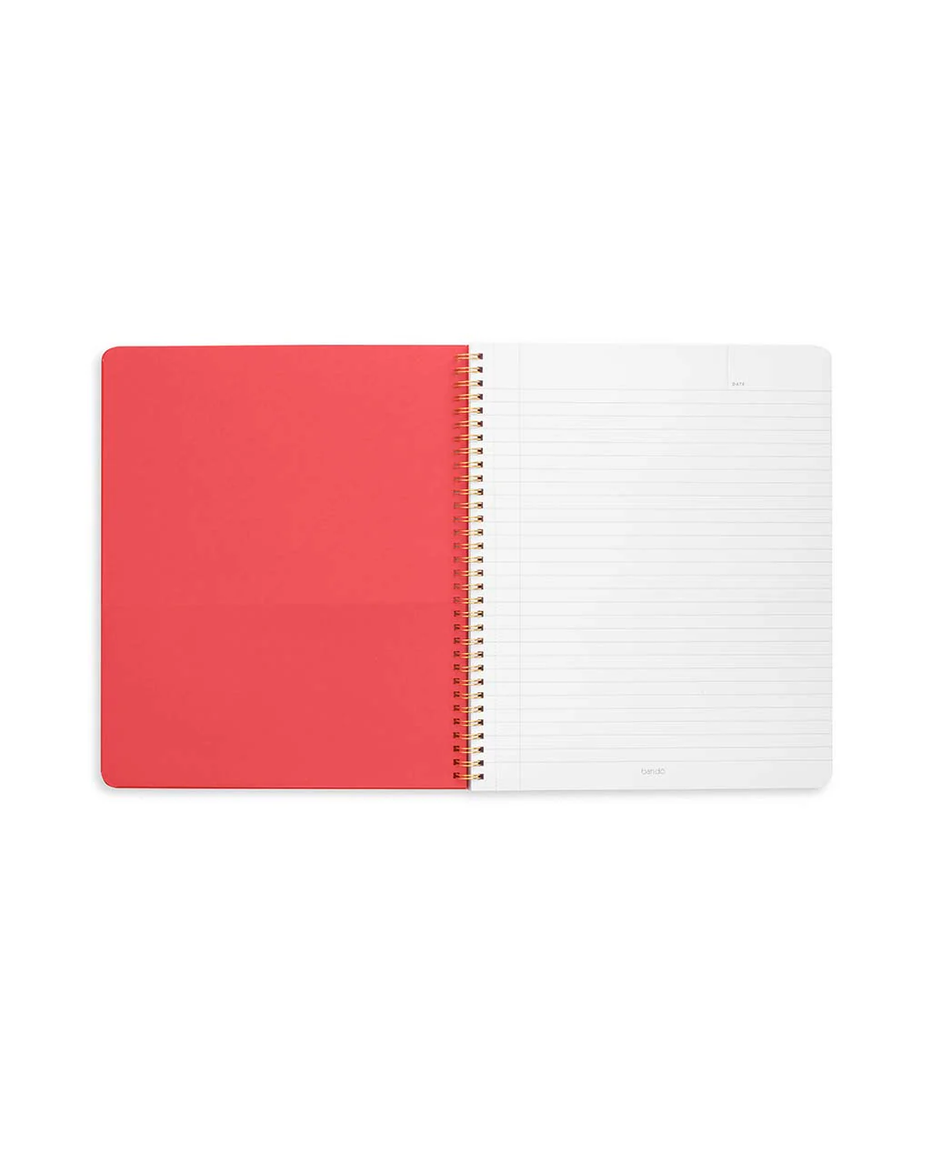 Rough Draft Large Notebook - Flowers and Fruit - Image 2
