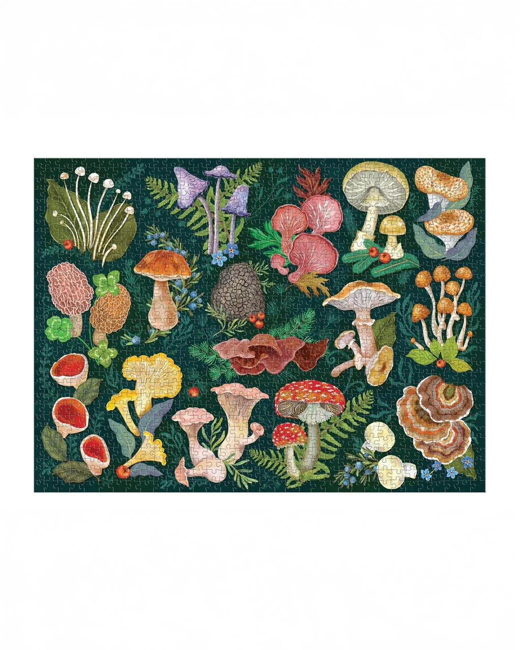 World of Mushrooms - 1000 Piece Puzzle - Image 2